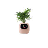 Smart Sensor Planter